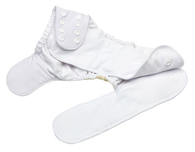 Image: GroVia Cloth All-In-One Diaper | Quick-dry external soaker | three layers of hemp/cotton | topped with microfleece