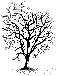 Image: clipart of a leaf-less tree